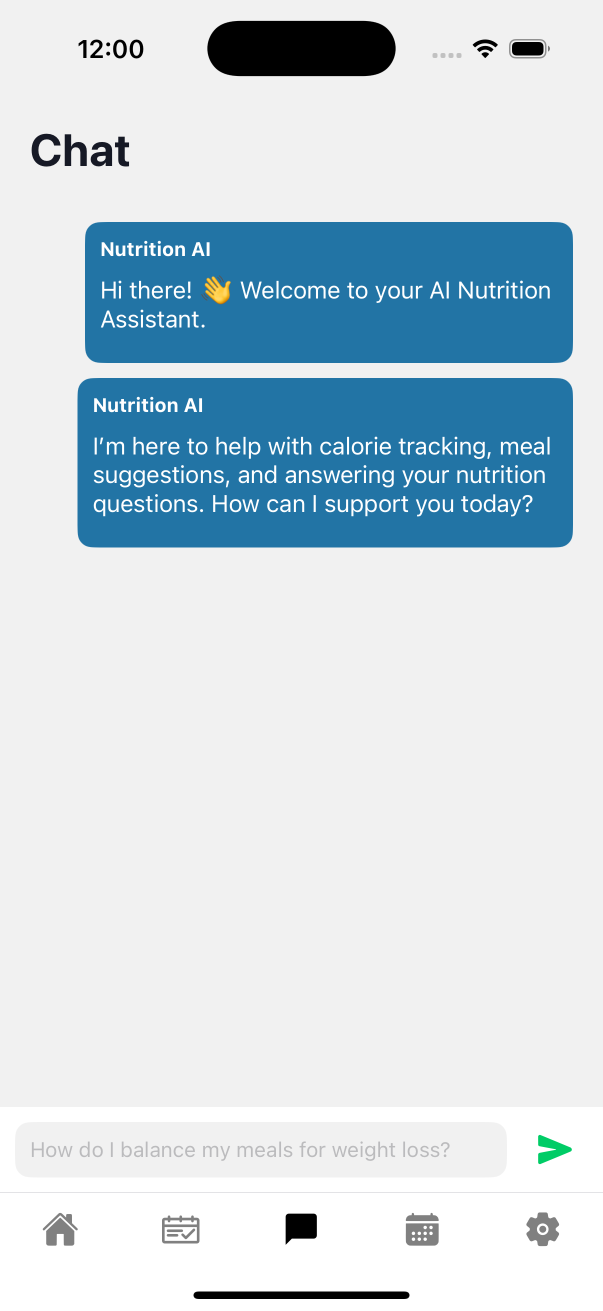 Chatting with the AI nutrition assistant