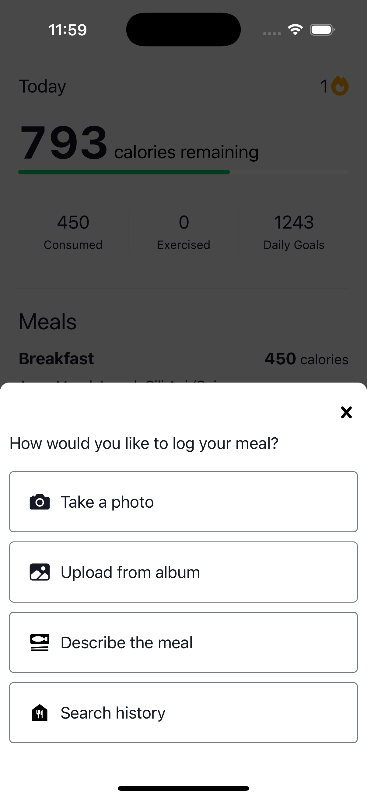Meal logging options: photo, upload, describe, history